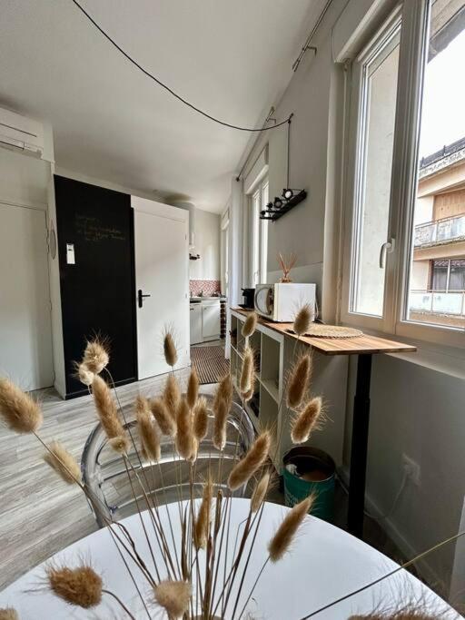 Le 25 / Hypercentre Apartment ตูลูส ภายนอก รูปภาพ